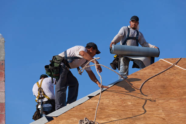 Best Affordable Roofing Company  in Van Horn, TX
